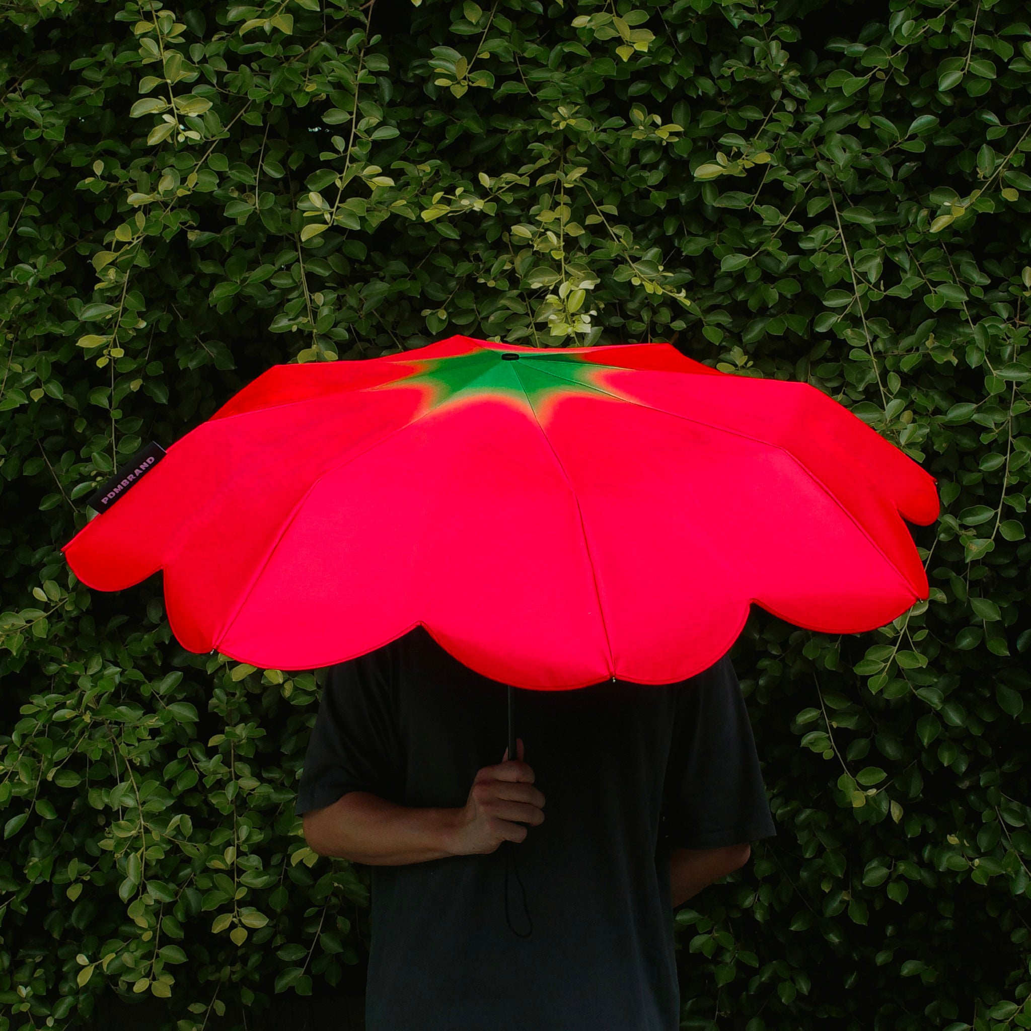 Tomato Umbrella Mini