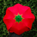 Tomato Umbrella Mini