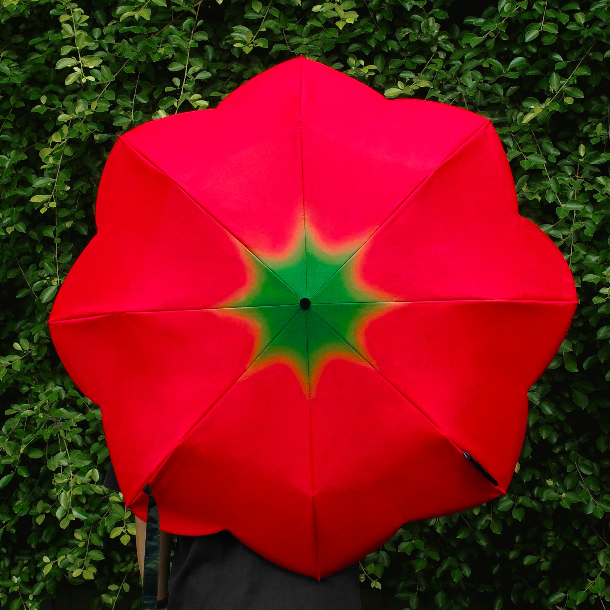 Tomato Umbrella Mini