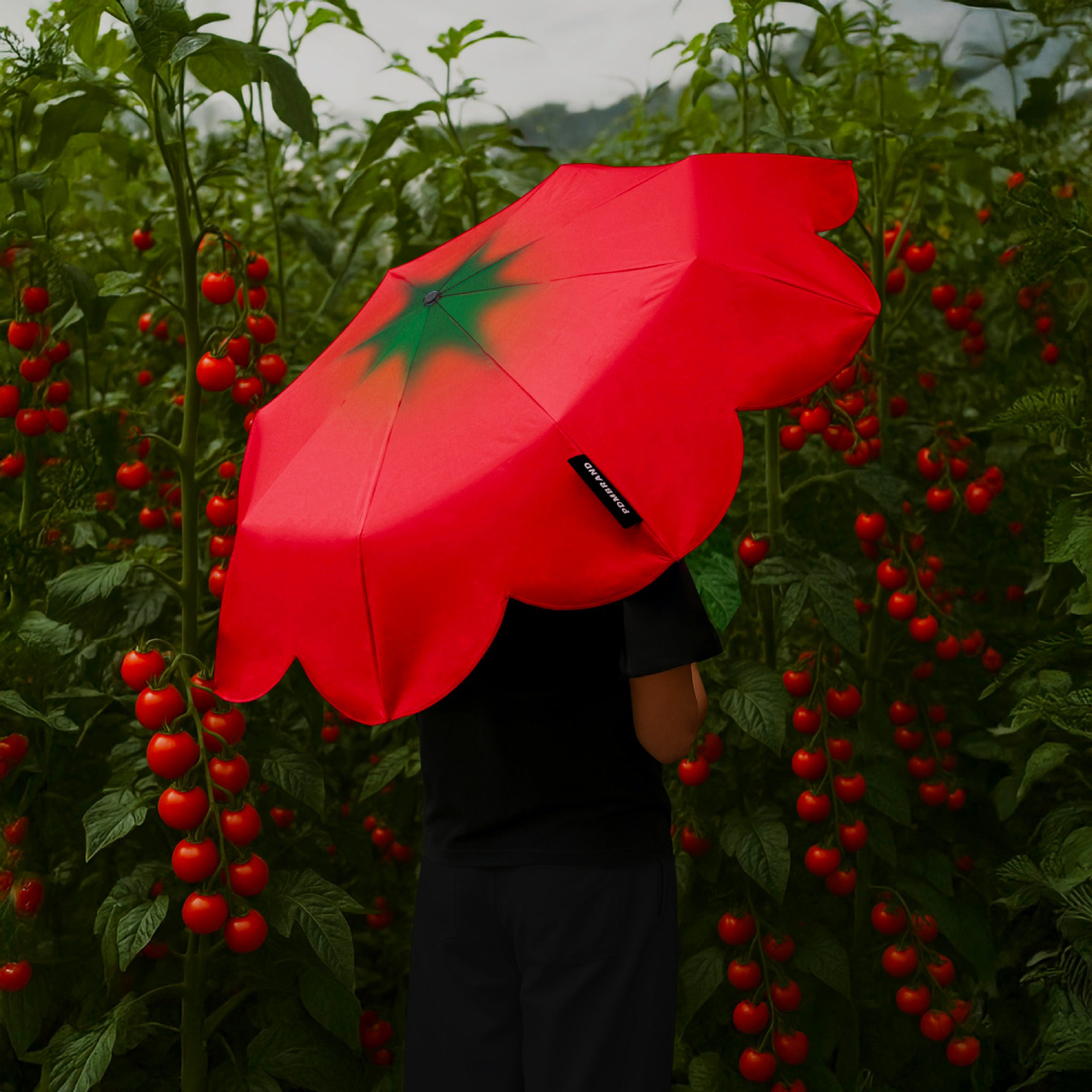 Tomato Umbrella Mini