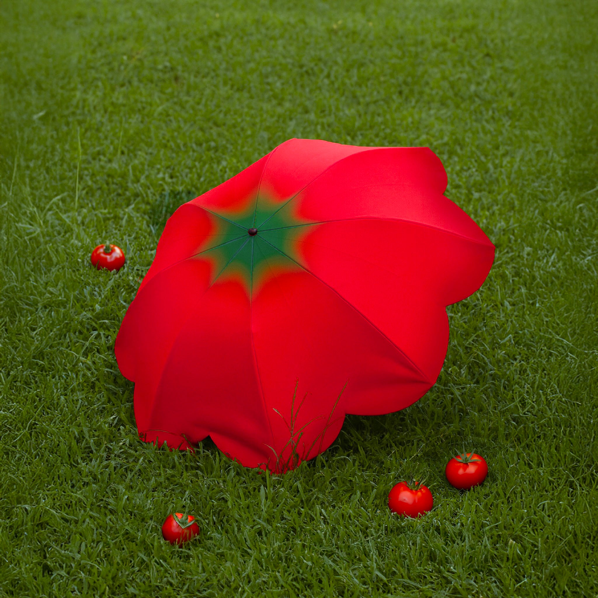 Tomato Umbrella Mini