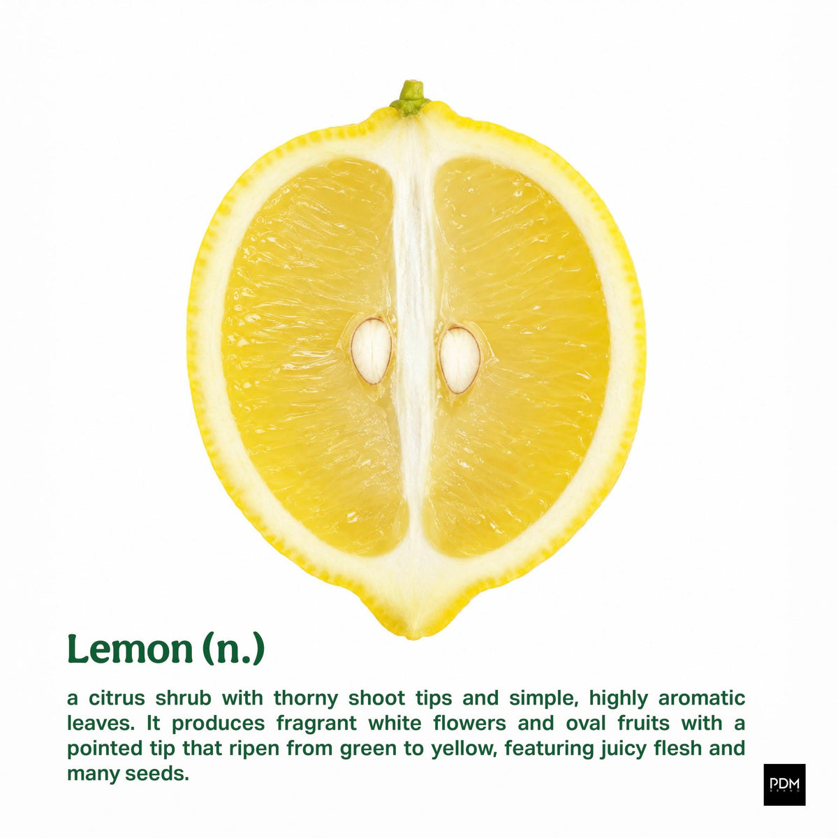Limone placemat