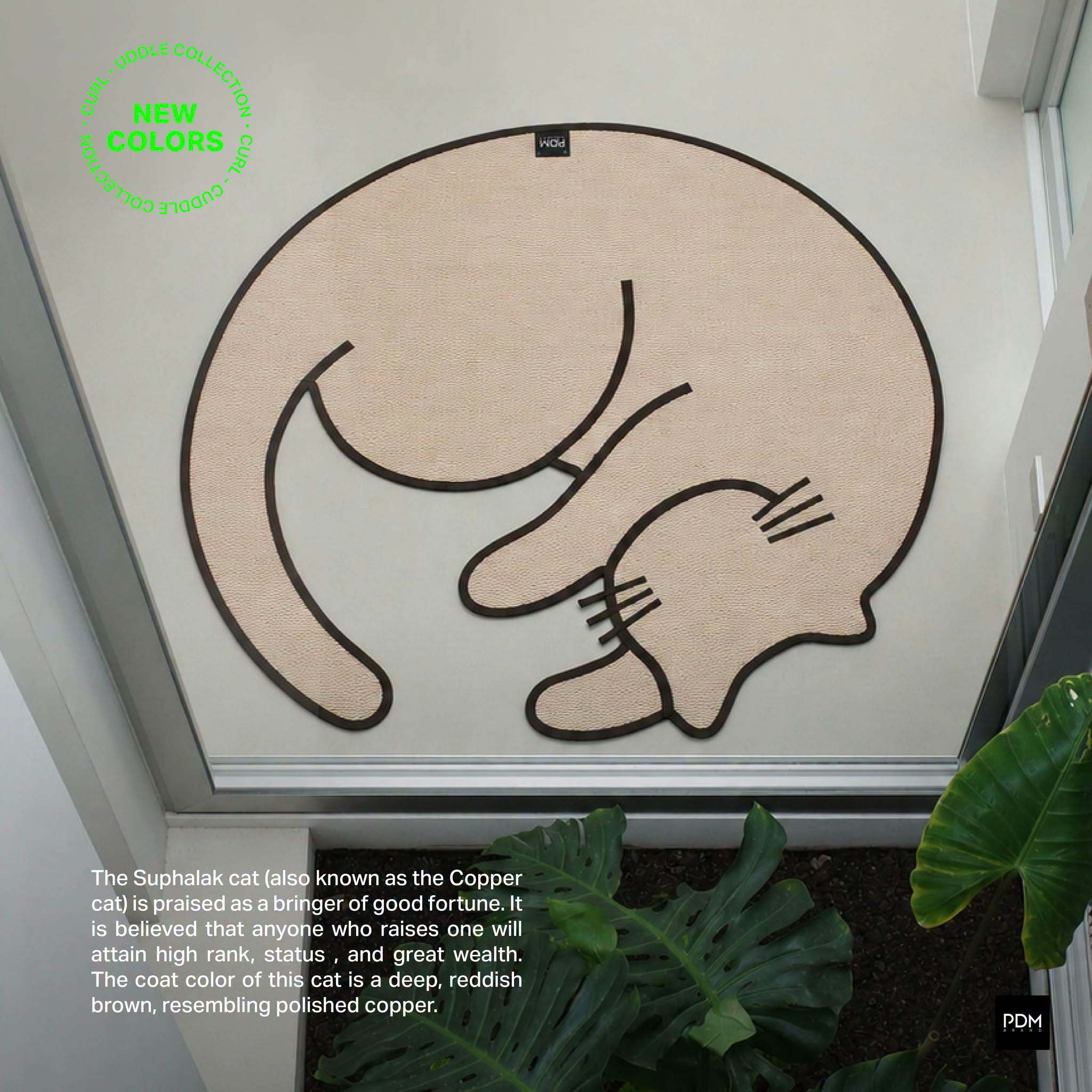 CURL – Indoor and Outdoor Mat