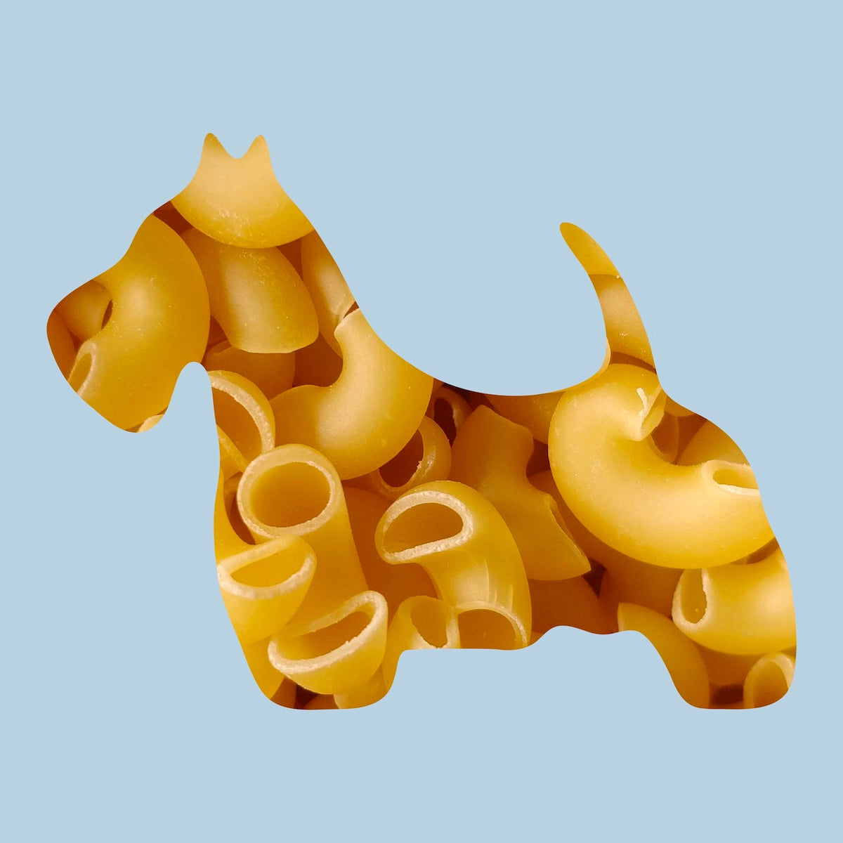 Karava - Canine