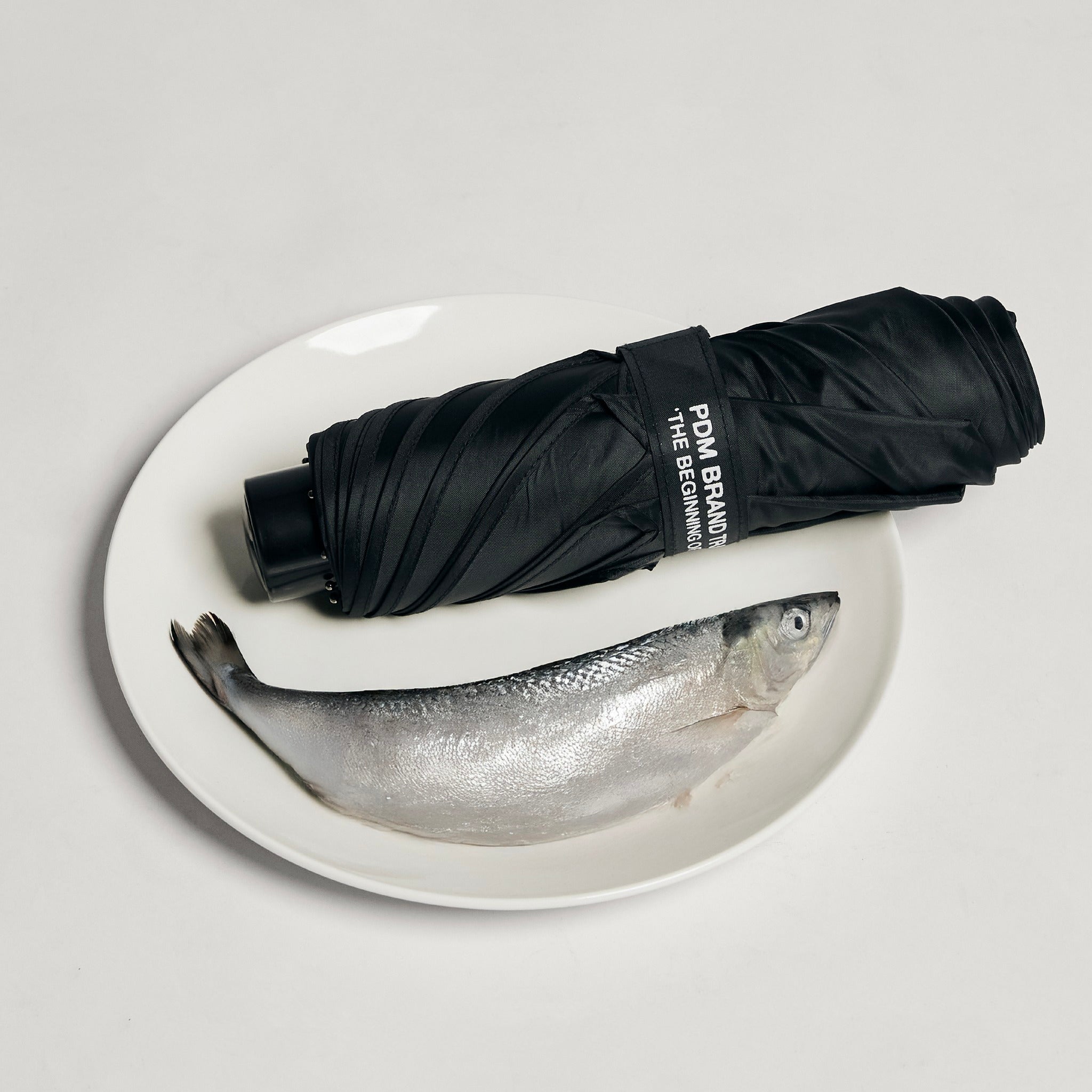 Sunny Umbrella Mini - Obsidian Black